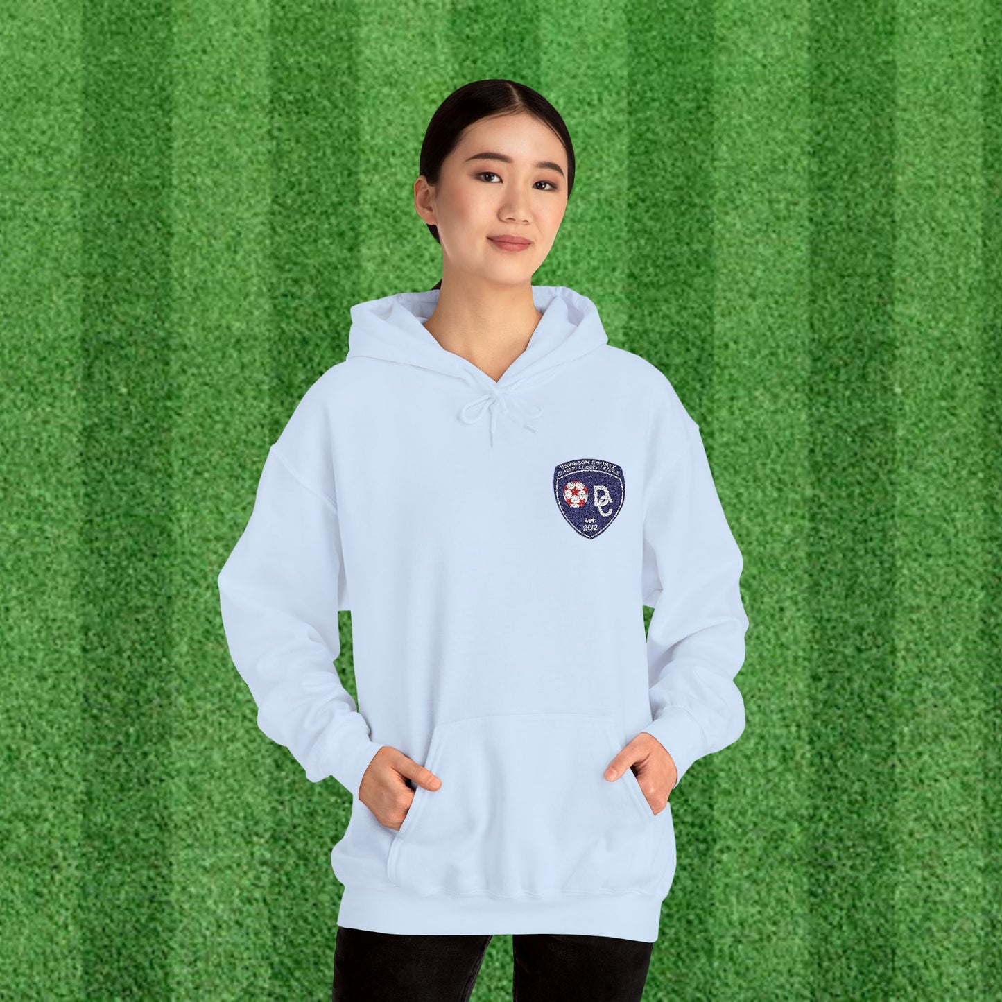 DCYSL Embroidered Hoodie (Adult)