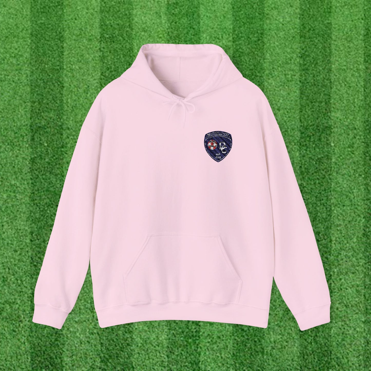 DCYSL Embroidered Hoodie (Adult)