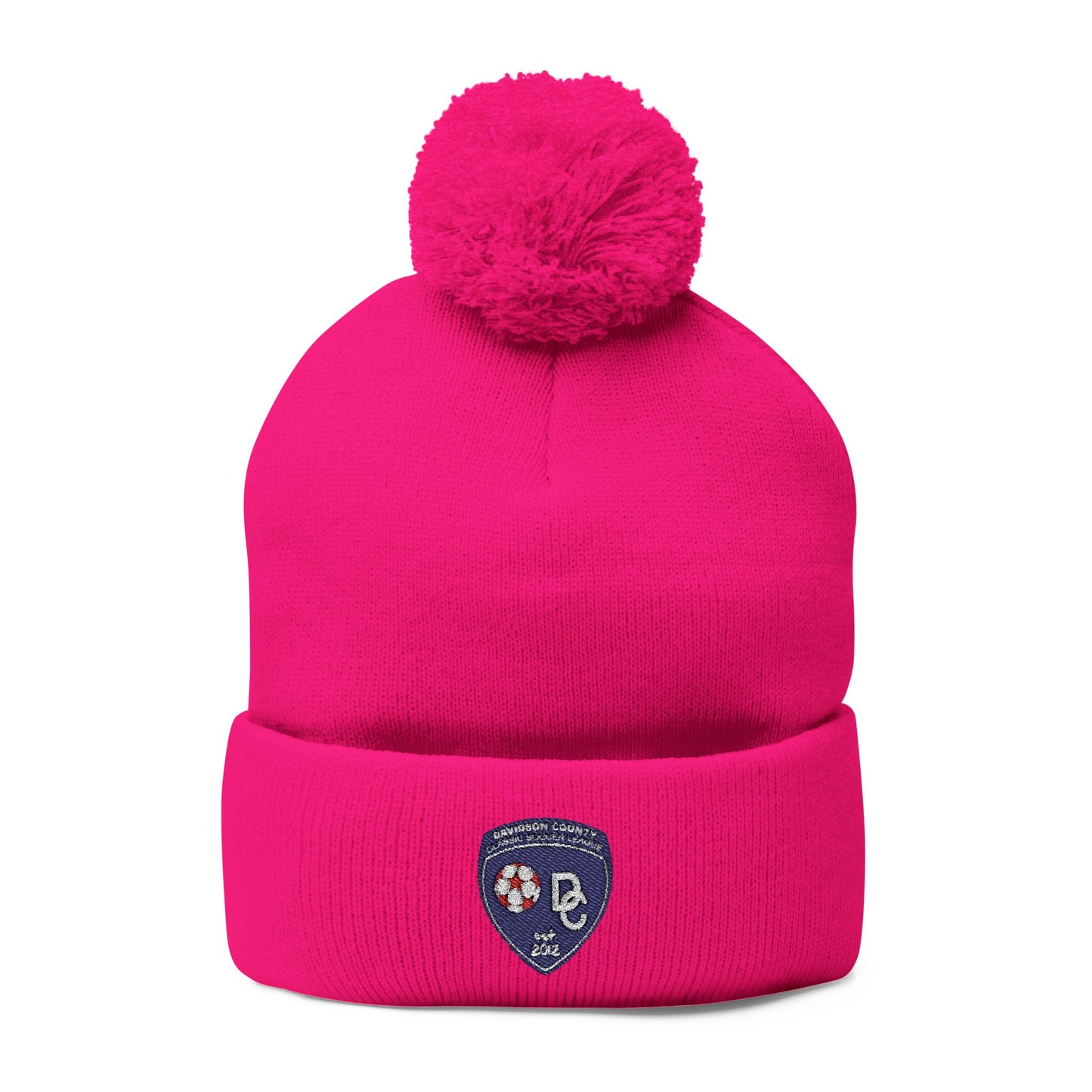 Embroidered DCYSL Beanie