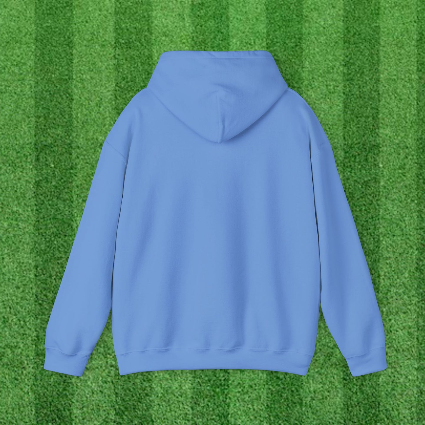 WOLVERINES Adult Hoodie