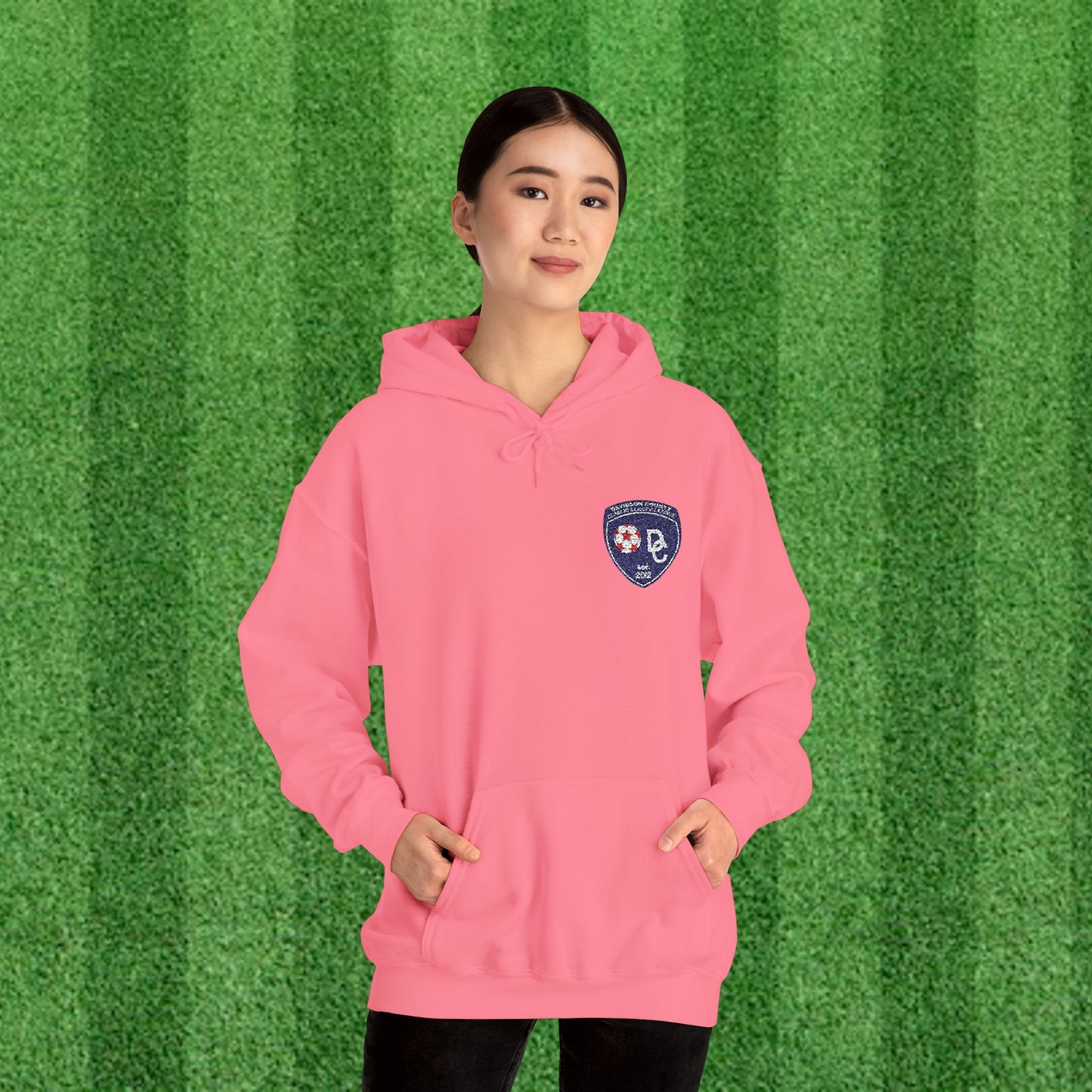 DCYSL Embroidered Hoodie (Adult)