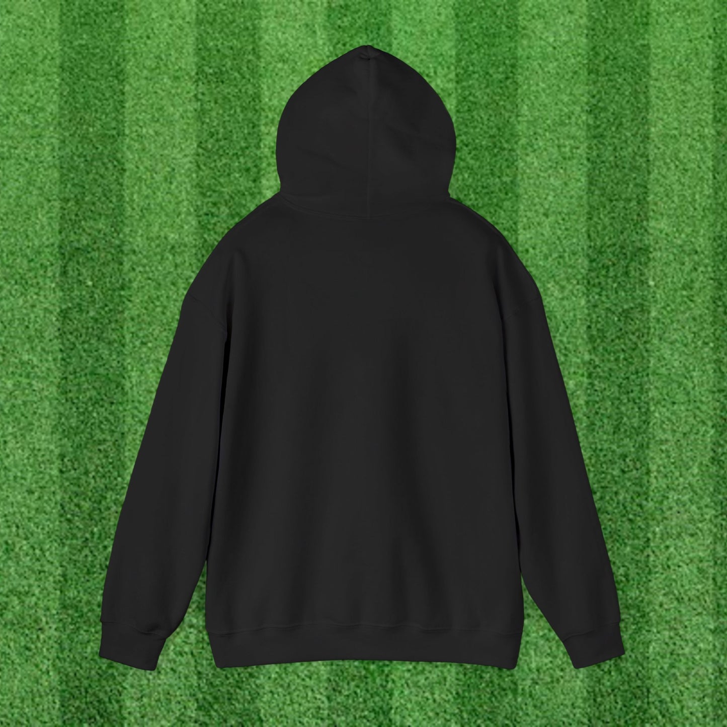 DCYSL Embroidered Hoodie (Adult)