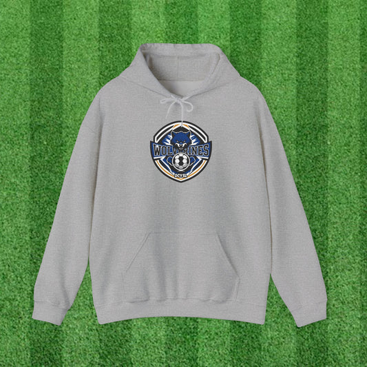 WOLVERINES Adult Hoodie