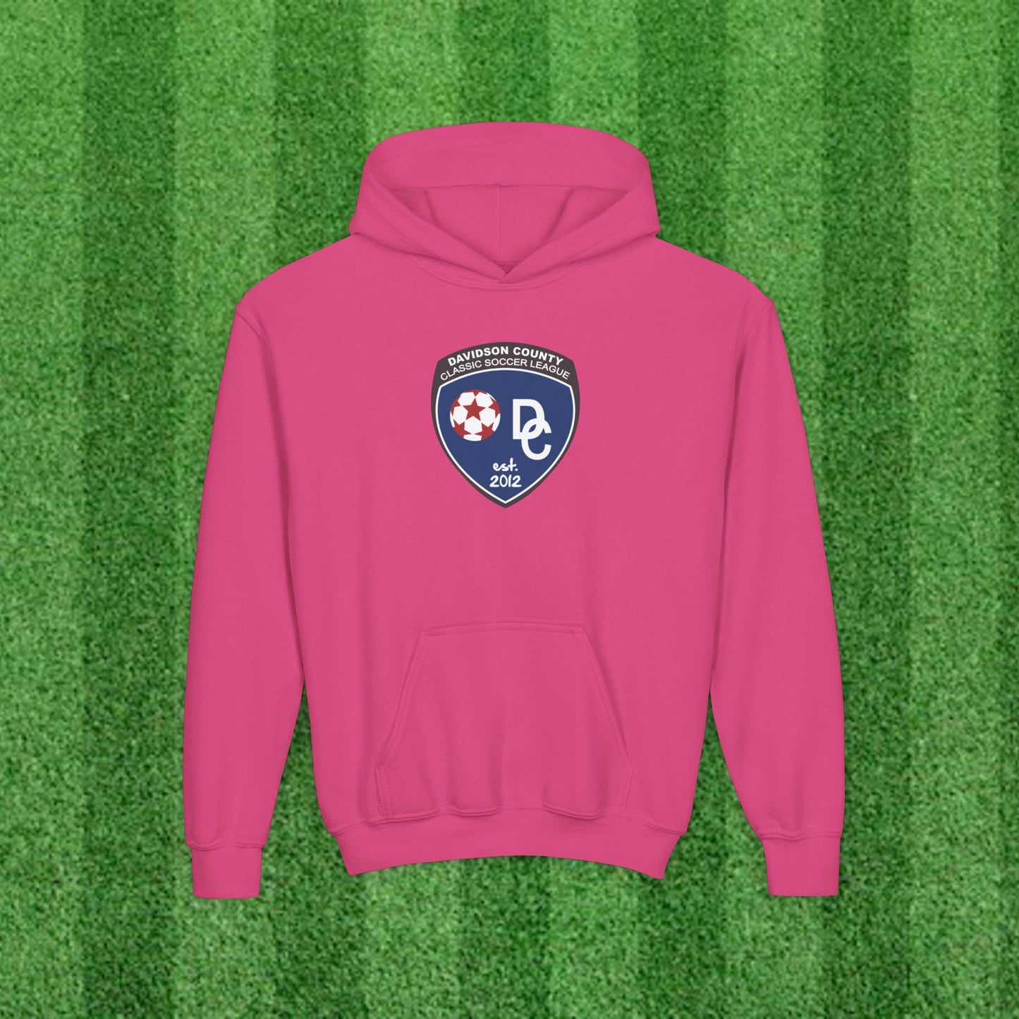 DCYSL Youth Hoodie