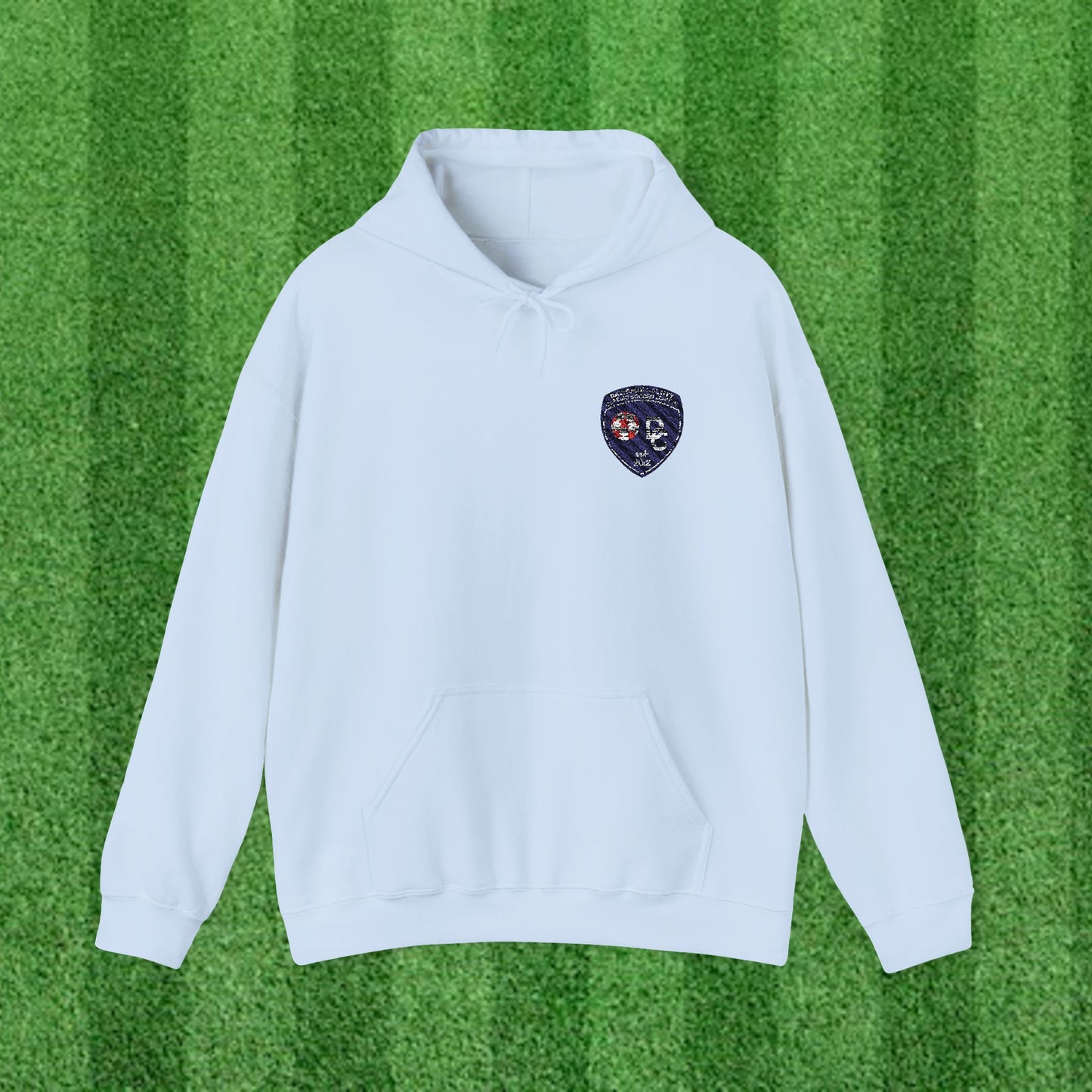 DCYSL Embroidered Hoodie (Adult)
