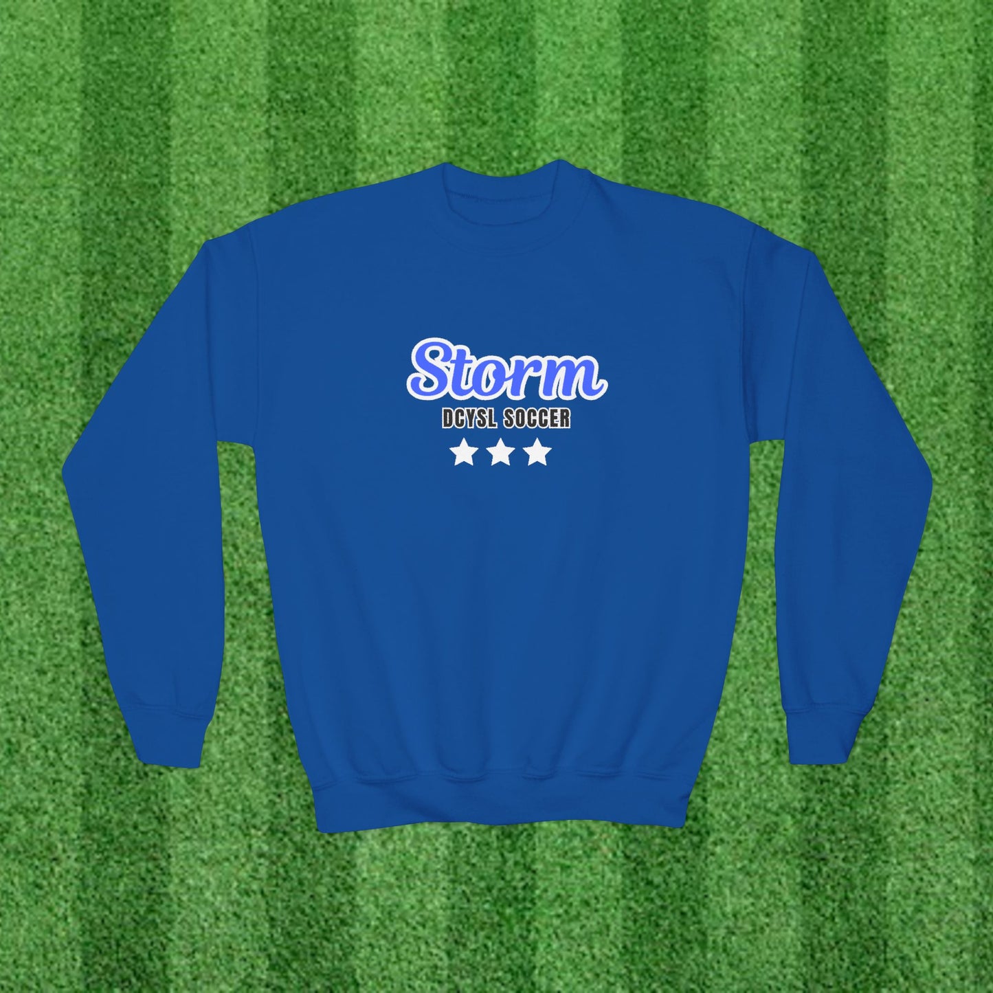 STORM Youth Sweatshirt