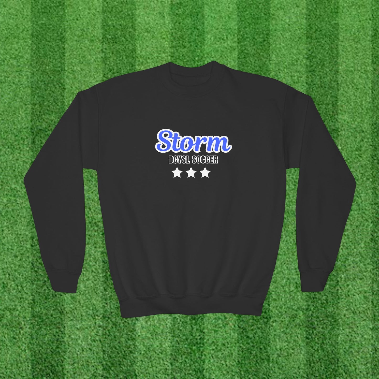 STORM Youth Sweatshirt