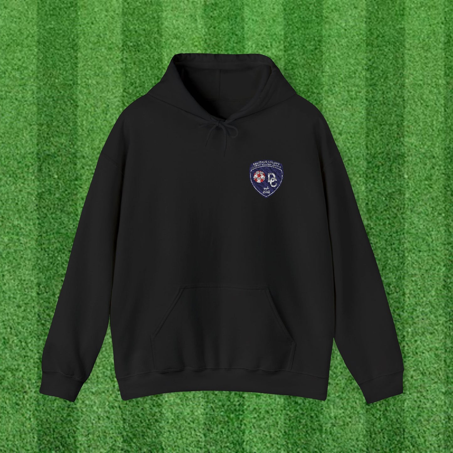 DCYSL Embroidered Hoodie (Adult)