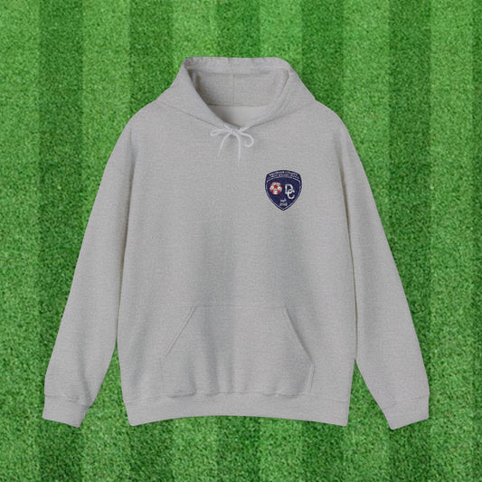 DCYSL Embroidered Hoodie (Adult)