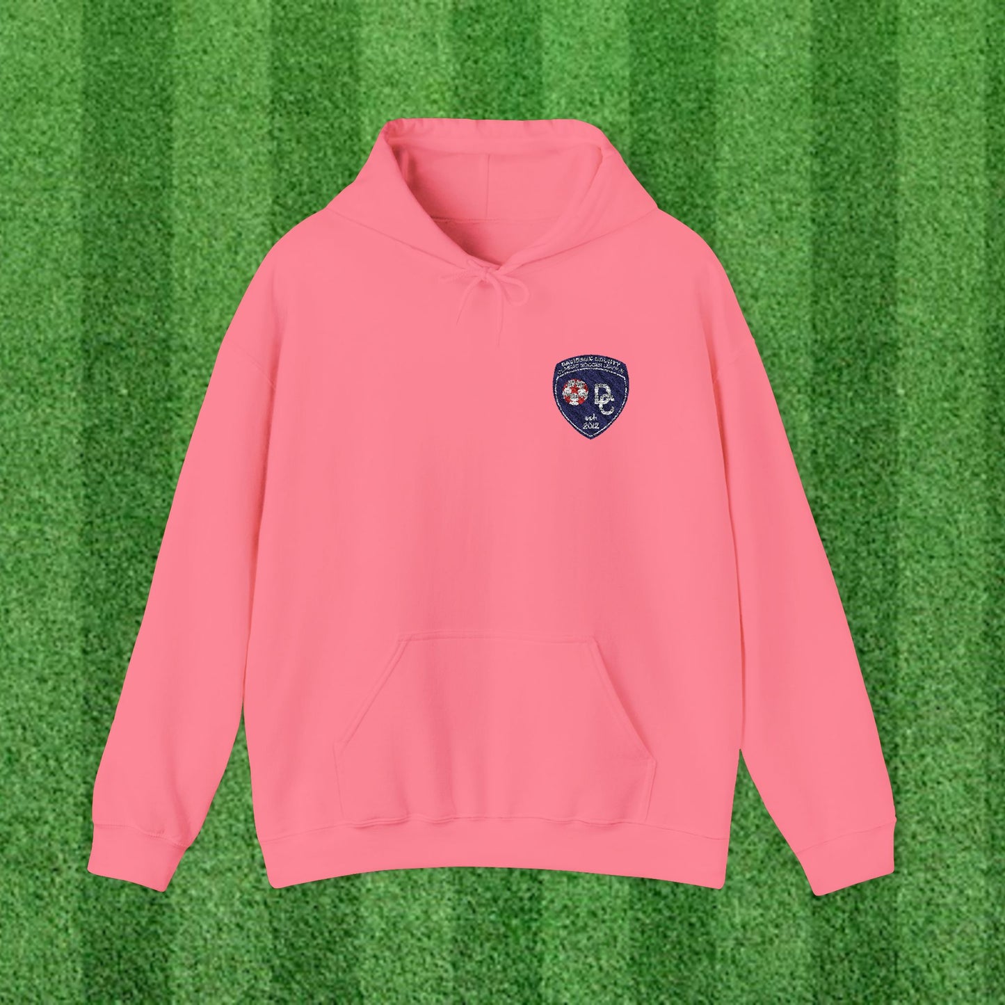 DCYSL Embroidered Hoodie (Adult)
