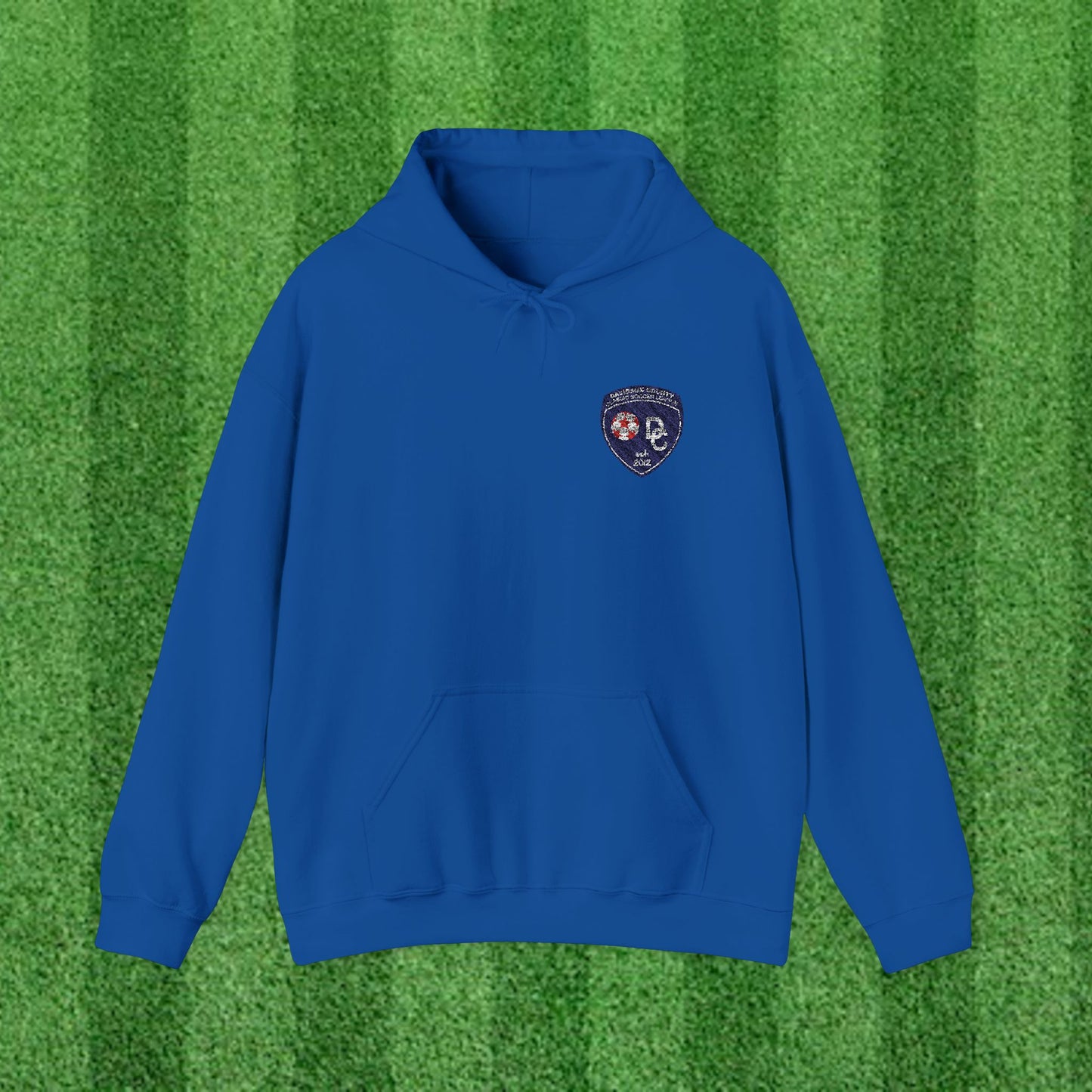 DCYSL Embroidered Hoodie (Adult)