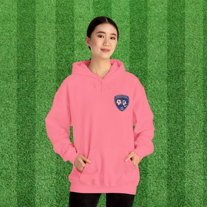 DCYSL Embroidered Hoodie (Adult)