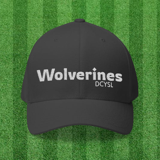 Wolverines Fitted Hat - Embroidered