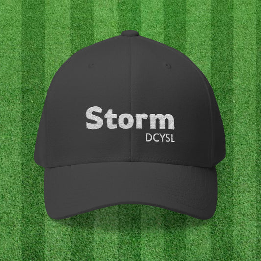 Storm Fitted Hat - Embroidered