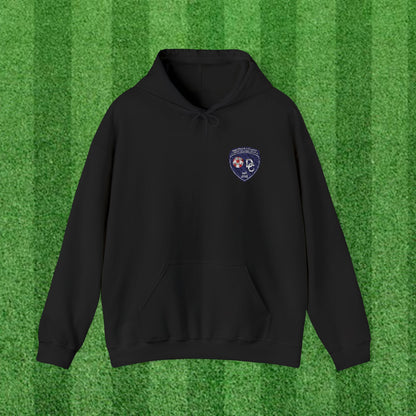 DCYSL Embroidered Hoodie (Adult)