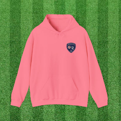 DCYSL Embroidered Hoodie (Adult)
