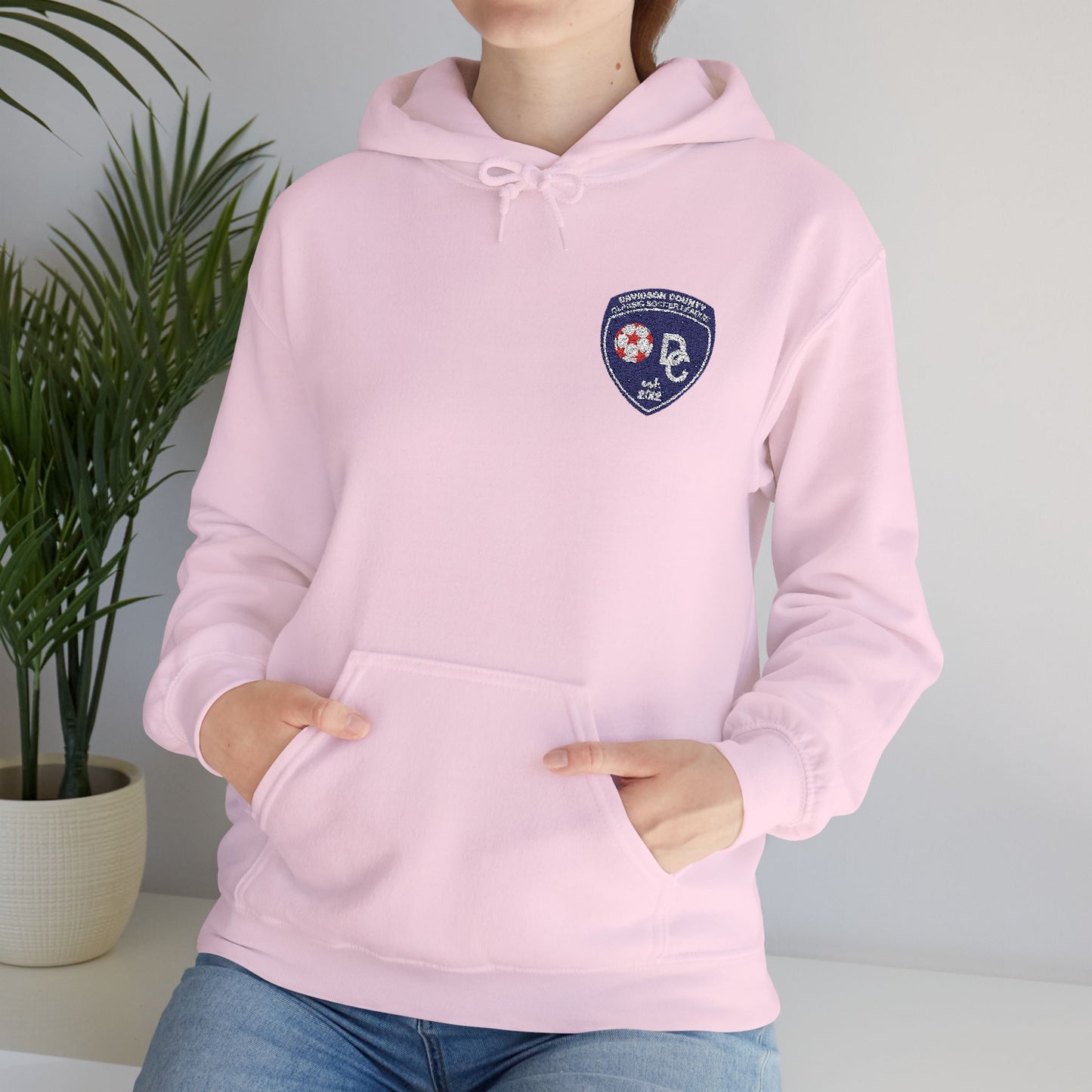 DCYSL Embroidered Hoodie (Adult)