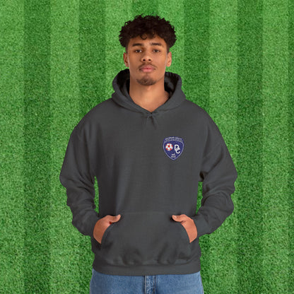 DCYSL Embroidered Hoodie (Adult)