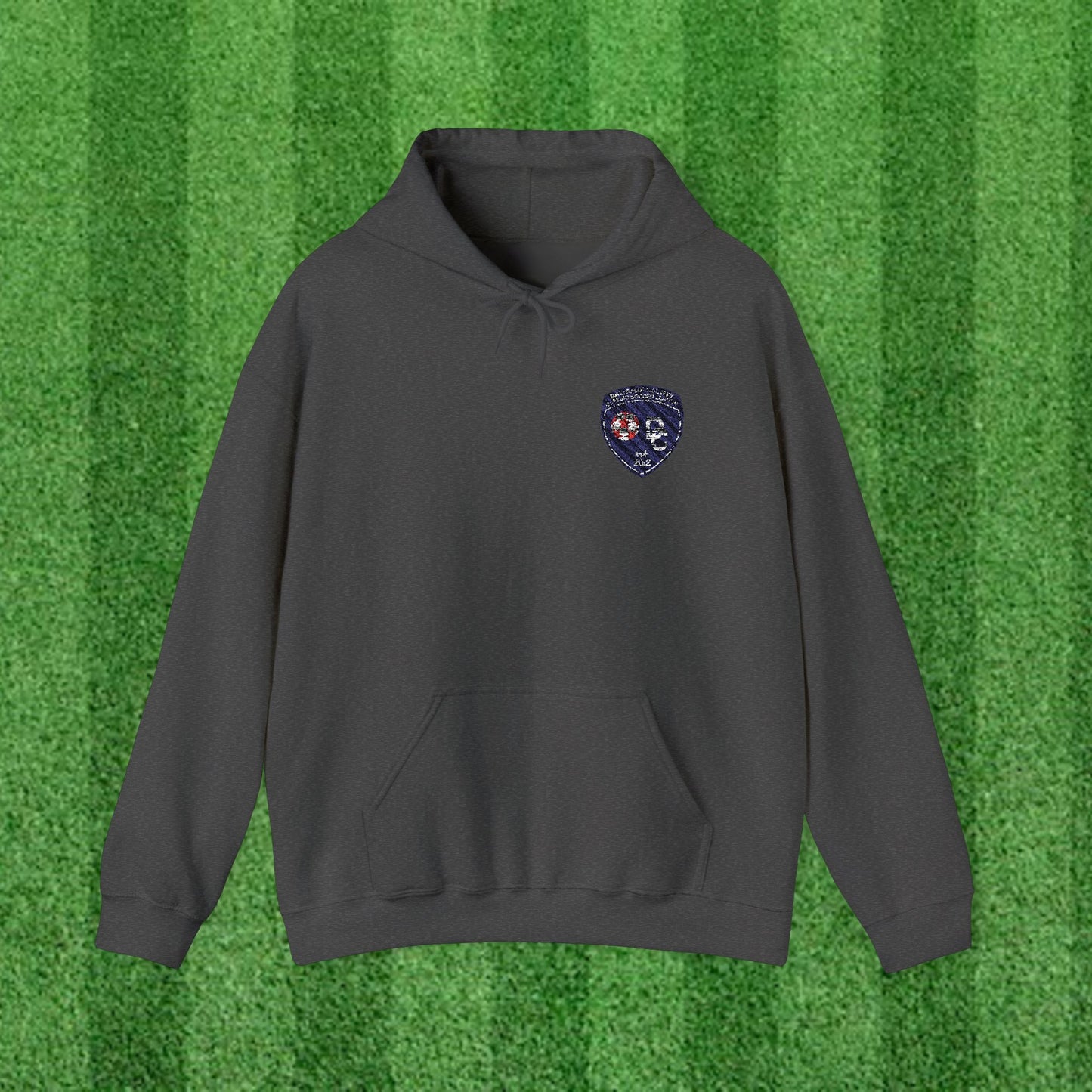 DCYSL Embroidered Hoodie (Adult)