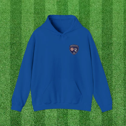 DCYSL Embroidered Hoodie (Adult)
